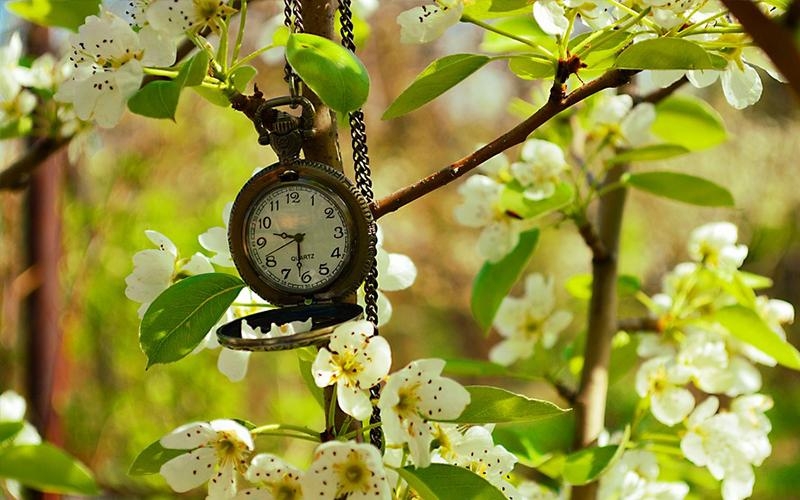 Valabilitatea sapunurilor naturale